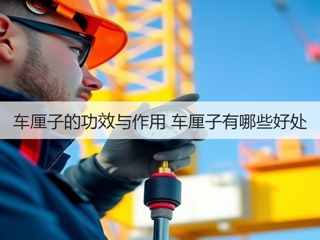 车厘子的功效与作用 车厘子有哪些好处(图2)