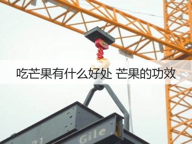 吃芒果有什么好处 芒果的功效(图2) 吃芒果有什么好处 芒果的功效(图2)