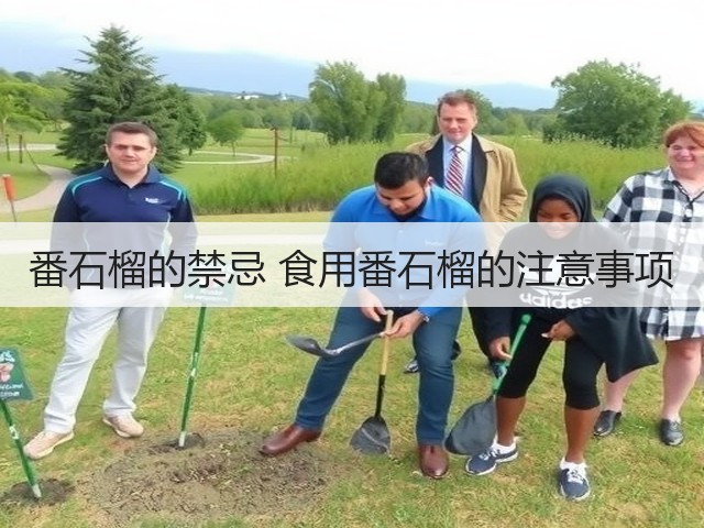 番石榴的禁忌 食用番石榴的注意事项(图2) 番石榴的禁忌 食用番石榴的注意事项(图2)