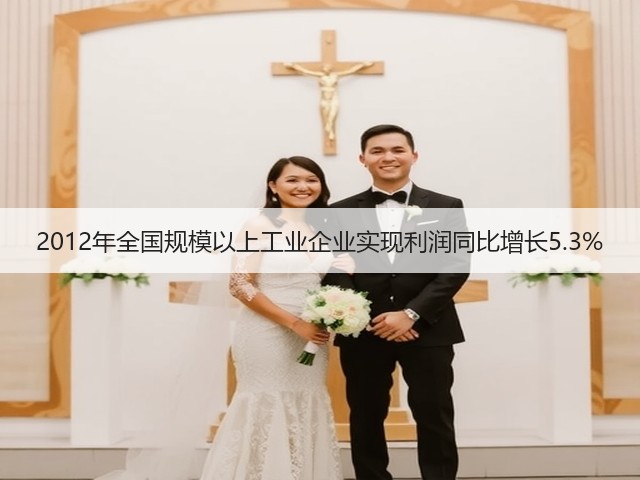 2012年全国规模以上工业企业实现利润同比增长5.3%(图1) 2012年全国规模以上工业企业实现利润同比增长5.3%(图1)