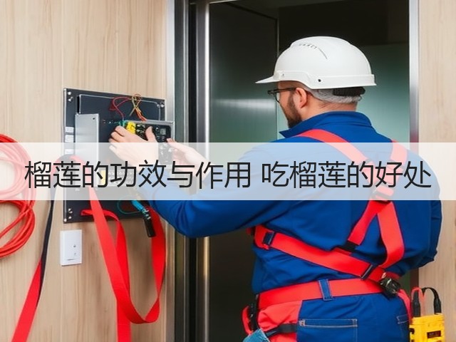 榴莲的功效与作用 吃榴莲的好处(图2) 榴莲的功效与作用 吃榴莲的好处(图2)