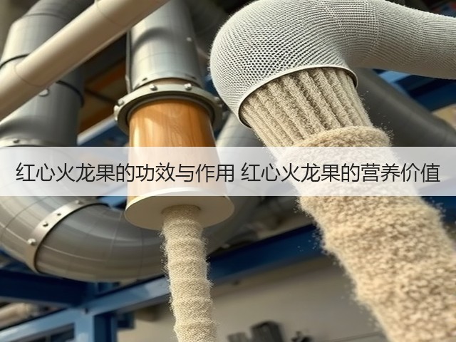 红心火龙果的功效与作用 红心火龙果的营养价值(图2) 红心火龙果的功效与作用 红心火龙果的营养价值(图2)