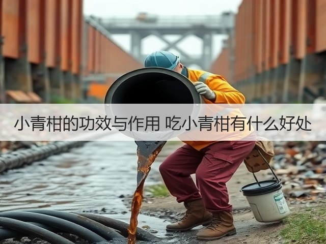 小青柑的功效与作用 吃小青柑有什么好处(图1) 小青柑的功效与作用 吃小青柑有什么好处(图1)