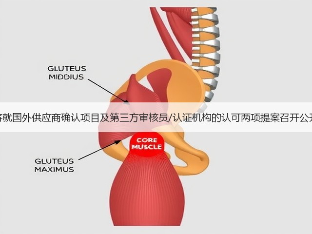 美国将就国外供应商确认项目及第三方审核员/认证机构的认可两项提案召开公开会议(图1) 美国将就国外供应商确认项目及第三方审核员/认证机构的认可两项提案召开公开会议(图1)