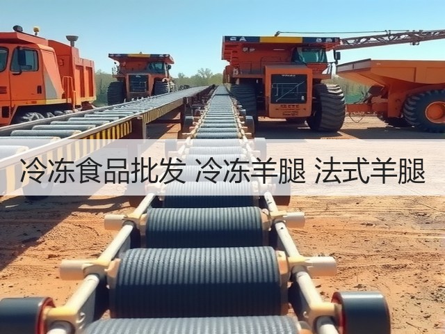 冷冻食品批发 冷冻羊腿 法式羊腿(图2) 冷冻食品批发 冷冻羊腿 法式羊腿(图2)