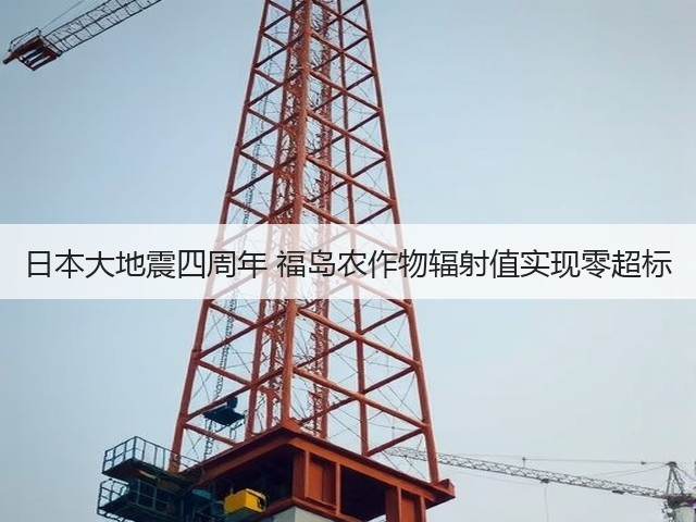 日本大地震四周年 福岛农作物辐射值实现零超标(图2) 日本大地震四周年 福岛农作物辐射值实现零超标(图2)