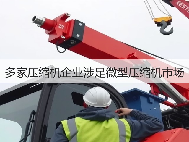 多家压缩机企业涉足微型压缩机市场(图3) 多家压缩机企业涉足微型压缩机市场(图3)