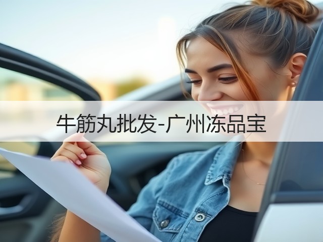 牛筋丸批发-广州冻品宝(图3)