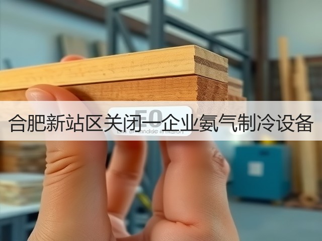 合肥新站区关闭一企业氨气制冷设备(图2)