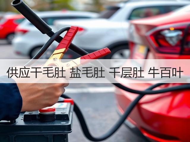 供应干毛肚 盐毛肚 千层肚 牛百叶(图3) 供应干毛肚 盐毛肚 千层肚 牛百叶(图3)
