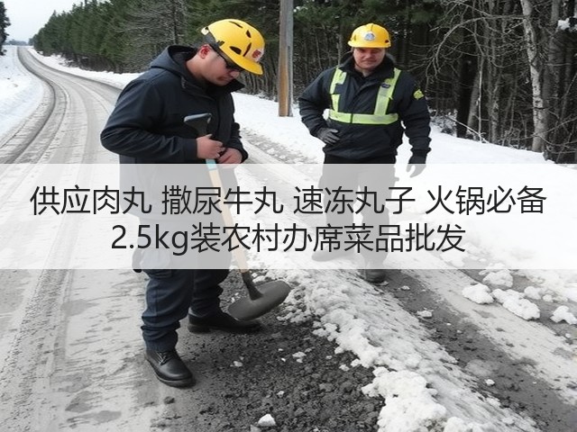 供应肉丸 撒尿牛丸 速冻丸子 火锅必备 2.5kg装农村办席菜品批发(图2)