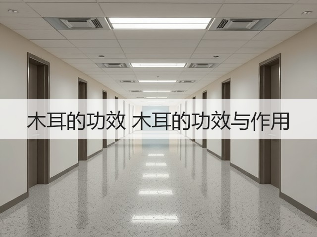 木耳的功效 木耳的功效与作用(图3) 木耳的功效 木耳的功效与作用(图3)