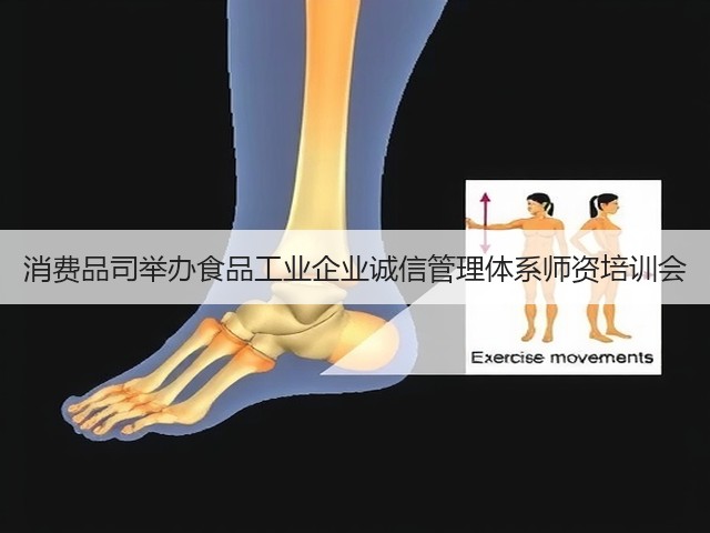 消费品司举办食品工业企业诚信管理体系师资培训会(图3)
