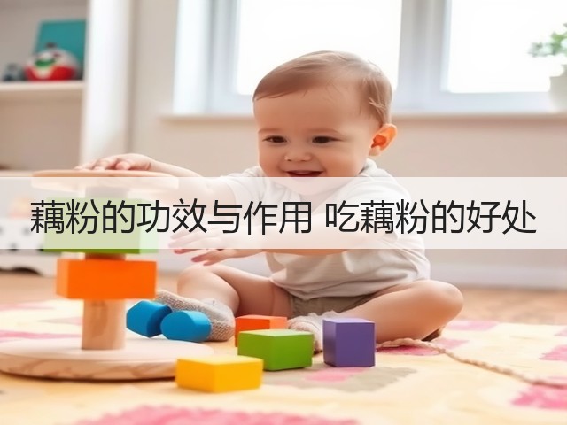 藕粉的功效与作用 吃藕粉的好处(图2) 藕粉的功效与作用 吃藕粉的好处(图2)
