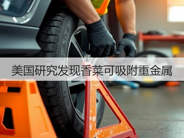 美国研究发现香菜可吸附重金属(图3) 美国研究发现香菜可吸附重金属(图3)