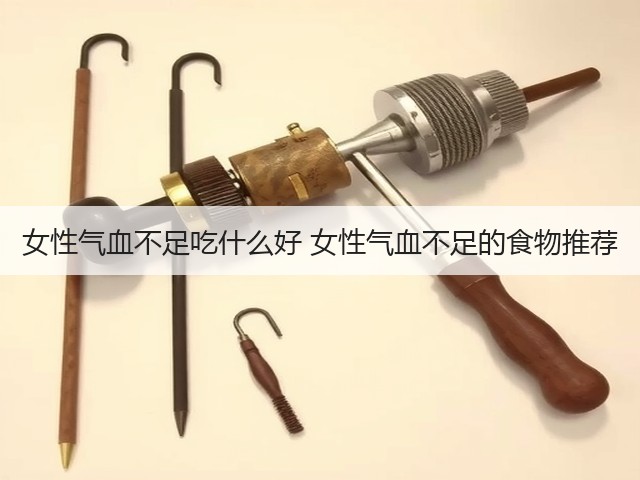 女性气血不足吃什么好 女性气血不足的食物推荐(图1) 女性气血不足吃什么好 女性气血不足的食物推荐(图1)