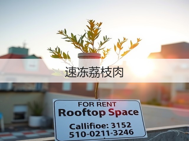 速冻荔枝肉(图2)