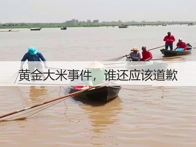 黄金大米事件,谁还应该道歉(图3) 黄金大米事件,谁还应该道歉(图3)