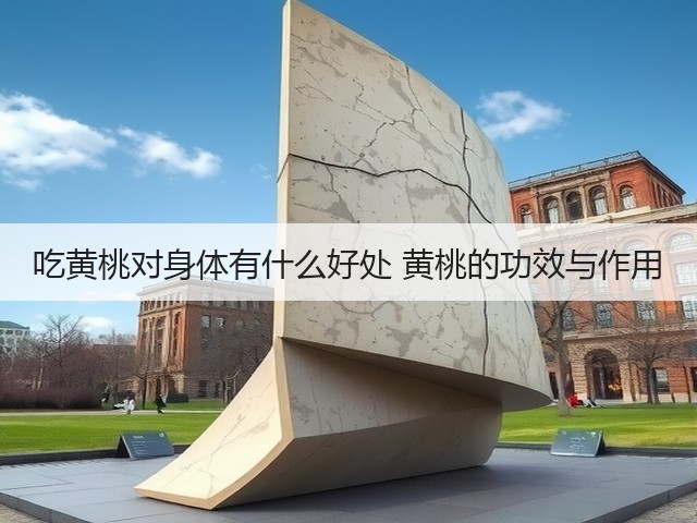 吃黄桃对身体有什么好处 黄桃的功效与作用(图2) 吃黄桃对身体有什么好处 黄桃的功效与作用(图2)
