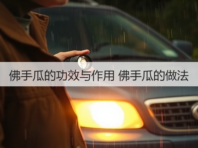 佛手瓜的功效与作用 佛手瓜的做法(图3) 佛手瓜的功效与作用 佛手瓜的做法(图3)