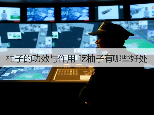 柚子的功效与作用 吃柚子有哪些好处(图2) 柚子的功效与作用 吃柚子有哪些好处(图2)