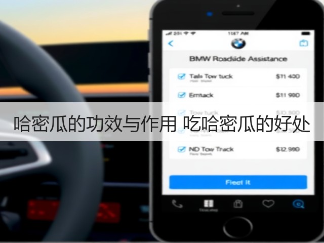 哈密瓜的功效与作用 吃哈密瓜的好处(图1) 哈密瓜的功效与作用 吃哈密瓜的好处(图1)