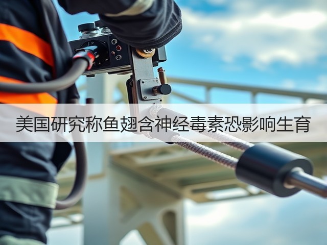 美国研究称鱼翅含神经毒素恐影响生育(图2) 美国研究称鱼翅含神经毒素恐影响生育(图2)