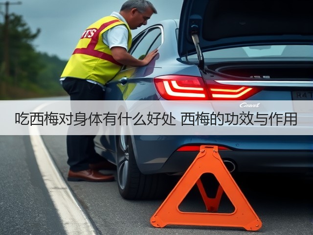 吃西梅对身体有什么好处 西梅的功效与作用(图3) 吃西梅对身体有什么好处 西梅的功效与作用(图3)