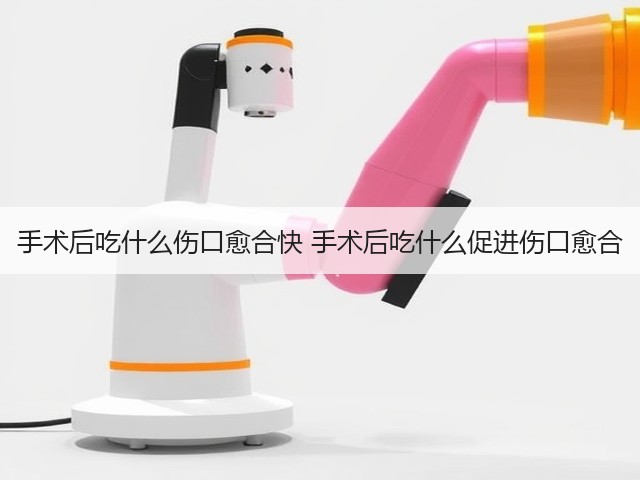 手术后吃什么伤口愈合快 手术后吃什么促进伤口愈合(图3) 手术后吃什么伤口愈合快 手术后吃什么促进伤口愈合(图3)
