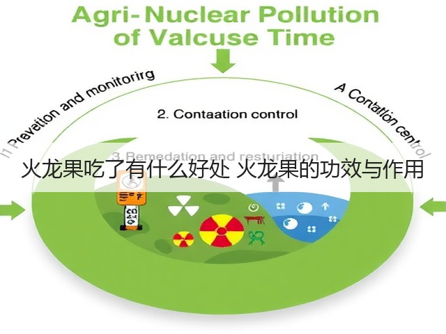 火龙果吃了有什么好处 火龙果的功效与作用(图3) 火龙果吃了有什么好处 火龙果的功效与作用(图3)