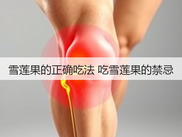 雪莲果的正确吃法 吃雪莲果的禁忌(图2) 雪莲果的正确吃法 吃雪莲果的禁忌(图2)