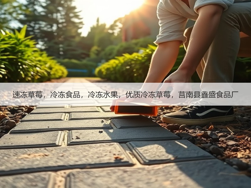 速冻草莓，冷冻食品，冷冻水果，优质冷冻草莓，莒南县鑫盛食品厂