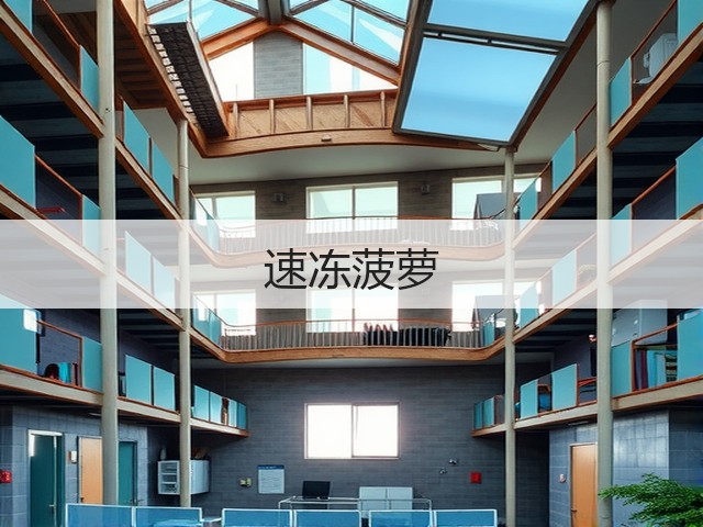 速冻菠萝(图1)