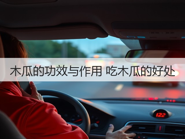 木瓜的功效与作用 吃木瓜的好处(图3) 木瓜的功效与作用 吃木瓜的好处(图3)