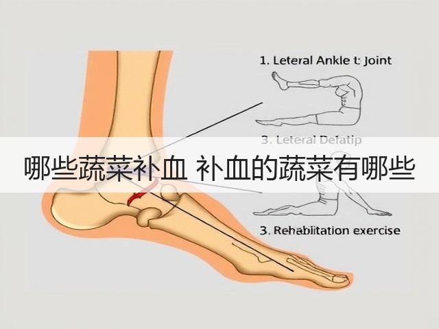 哪些蔬菜补血 补血的蔬菜有哪些(图3) 哪些蔬菜补血 补血的蔬菜有哪些(图3)