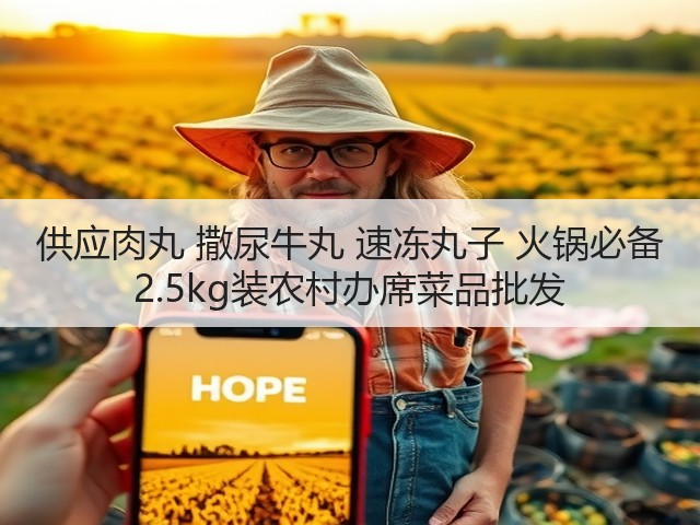 供应肉丸 撒尿牛丸 速冻丸子 火锅必备 2.5kg装农村办席菜品批发(图1)