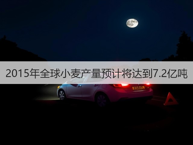 2015年全球小麦产量预计将达到7.2亿吨(图2) 2015年全球小麦产量预计将达到7.2亿吨(图2)