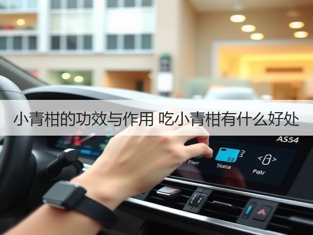 小青柑的功效与作用 吃小青柑有什么好处(图2) 小青柑的功效与作用 吃小青柑有什么好处(图2)