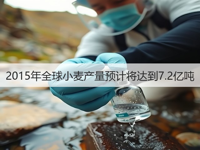 2015年全球小麦产量预计将达到7.2亿吨(图3) 2015年全球小麦产量预计将达到7.2亿吨(图3)