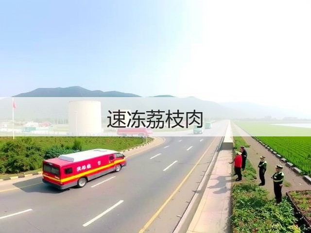 速冻荔枝肉(图1)