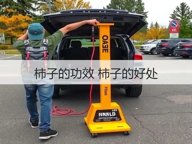 柿子的功效 柿子的好处(图2) 柿子的功效 柿子的好处(图2)