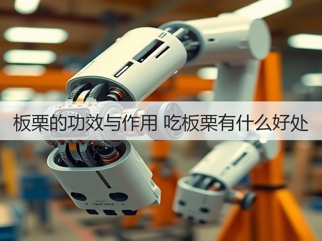 板栗的功效与作用 吃板栗有什么好处(图2) 板栗的功效与作用 吃板栗有什么好处(图2)