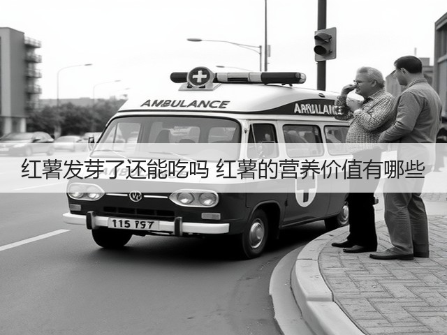 红薯发芽了还能吃吗 红薯的营养价值有哪些(图2) 红薯发芽了还能吃吗 红薯的营养价值有哪些(图2)