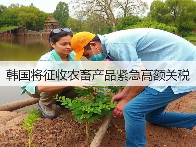 韩国将征收农畜产品紧急高额关税(图3)