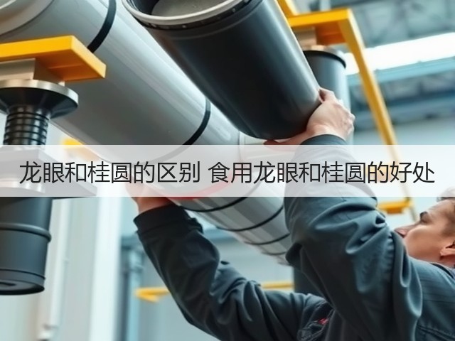 龙眼和桂圆的区别 食用龙眼和桂圆的好处(图3) 龙眼和桂圆的区别 食用龙眼和桂圆的好处(图3)