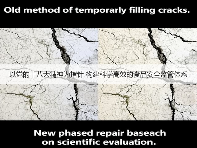 以党的十八大精神为指针 构建科学高效的食品安全监管体系(图1) 以党的十八大精神为指针 构建科学高效的食品安全监管体系(图1)