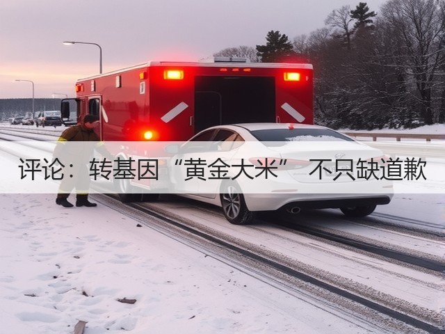 评论:转基因“黄金大米” 不只缺道歉(图1) 评论:转基因“黄金大米” 不只缺道歉(图1)