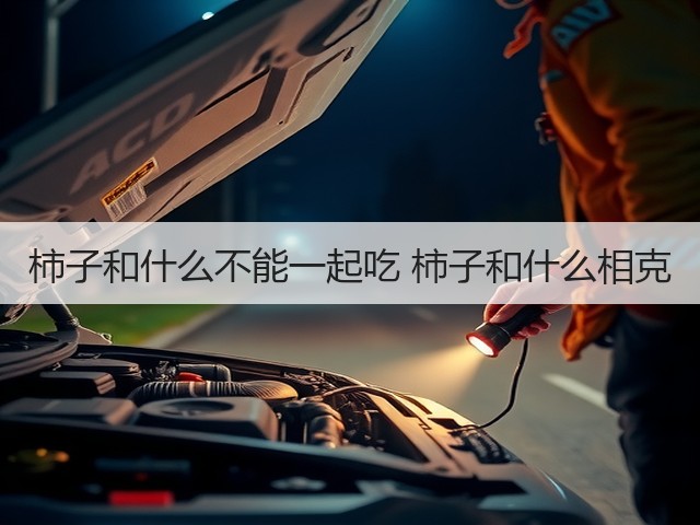 柿子和什么不能一起吃 柿子和什么相克(图2) 柿子和什么不能一起吃 柿子和什么相克(图2)