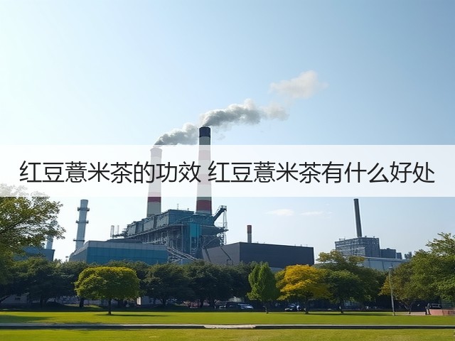 红豆薏米茶的功效 红豆薏米茶有什么好处(图1) 红豆薏米茶的功效 红豆薏米茶有什么好处(图1)