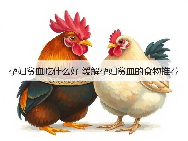 孕妇贫血吃什么好 缓解孕妇贫血的食物推荐(图3) 孕妇贫血吃什么好 缓解孕妇贫血的食物推荐(图3)